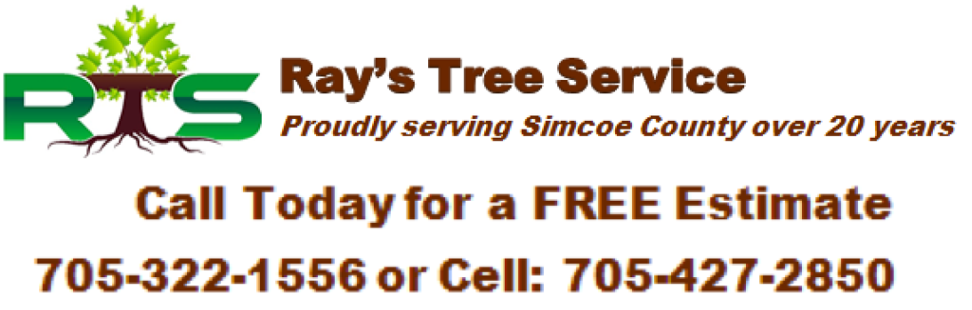 Ray's Tree Service